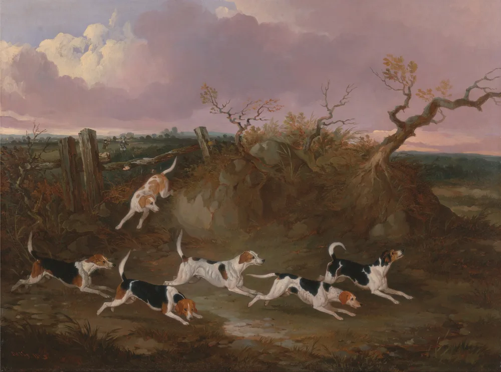 John Dalby's painting of a pack of beagles in full cry across the countryside