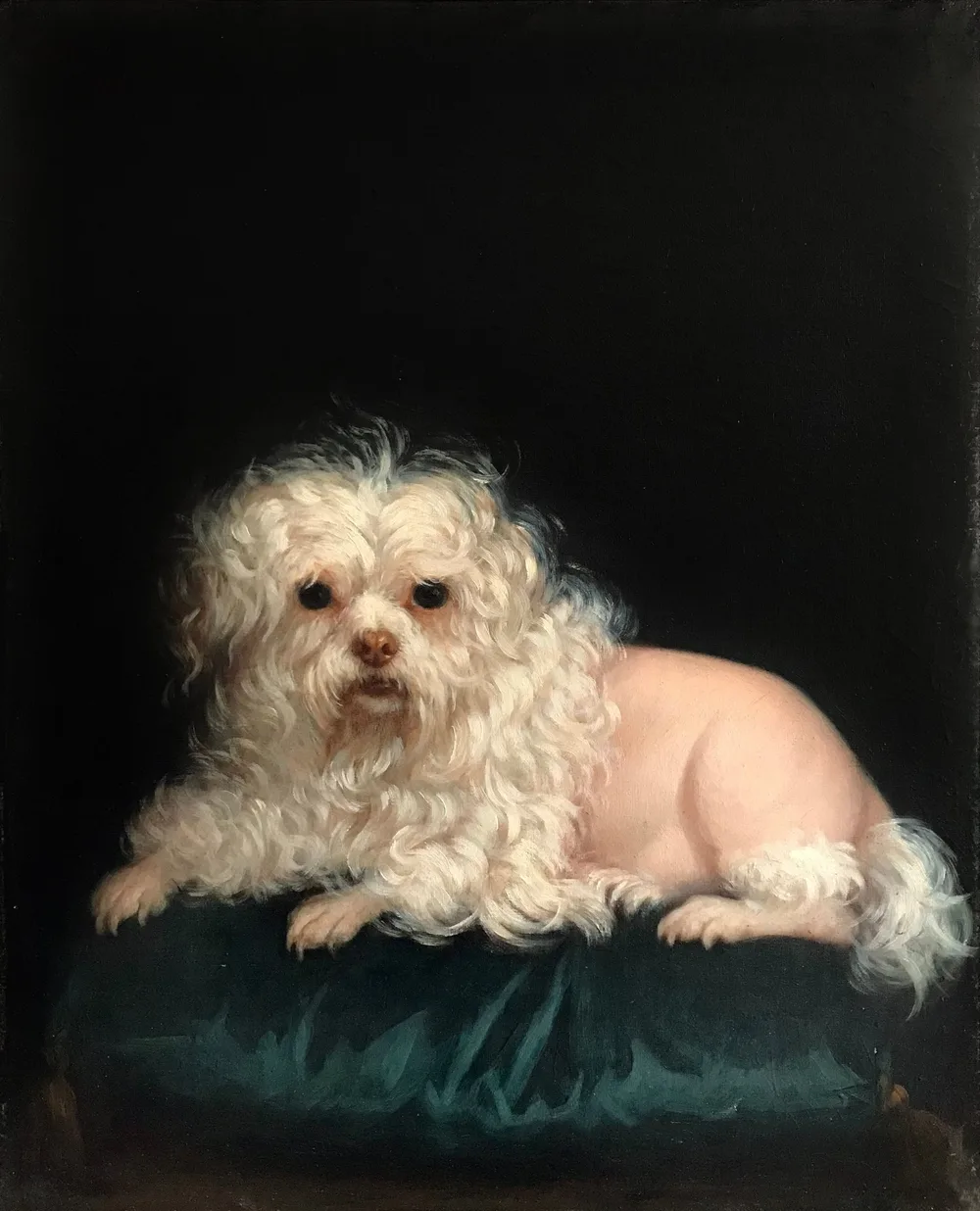 Léontine Lemée's painting of a white bichon-type dog in a lion trim lying on a green cushion