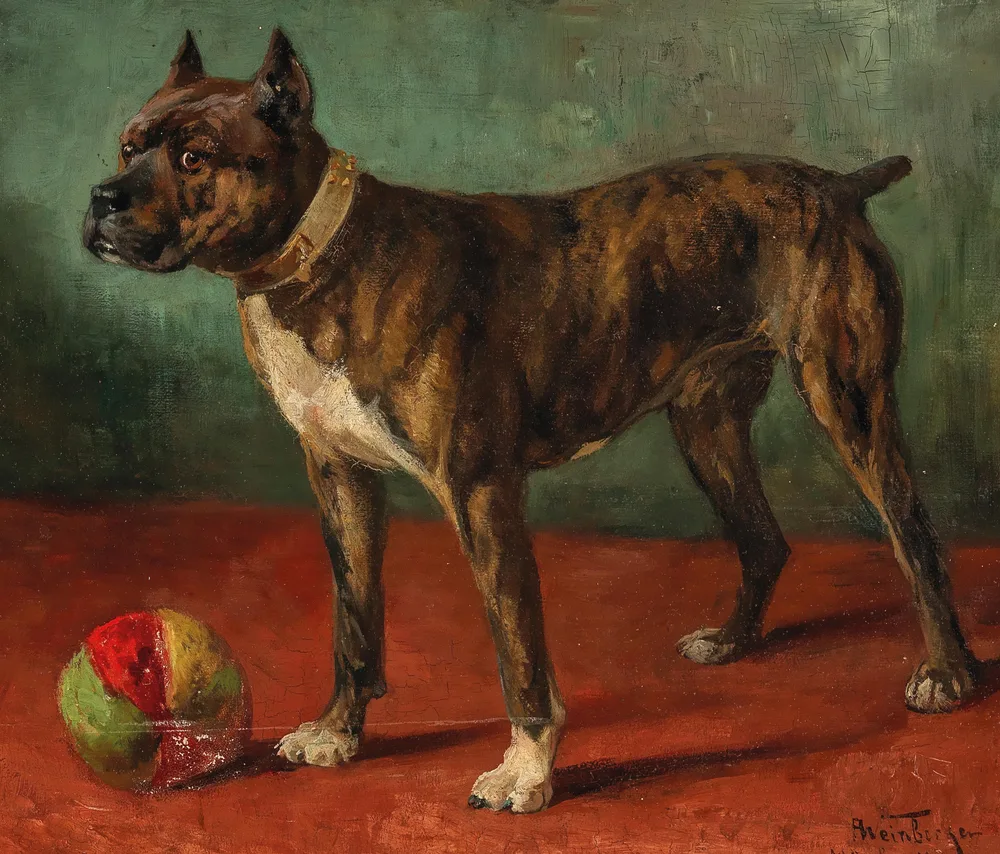 Anton Weinberger's 1910 oil painting of a brindle Boxer with cropped ears standing beside a ball