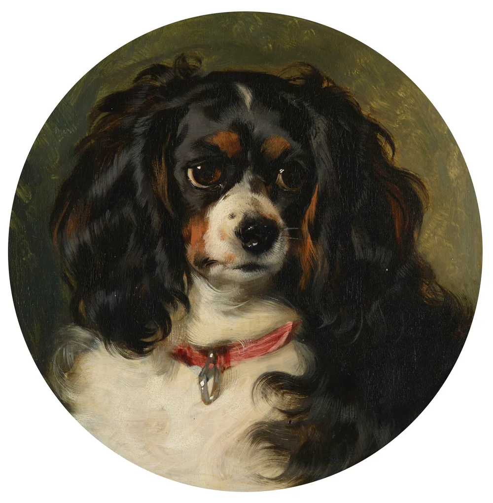埃德温·兰西尔为维多利亚女王的三色玩赏猎犬 Dash 画的肖像