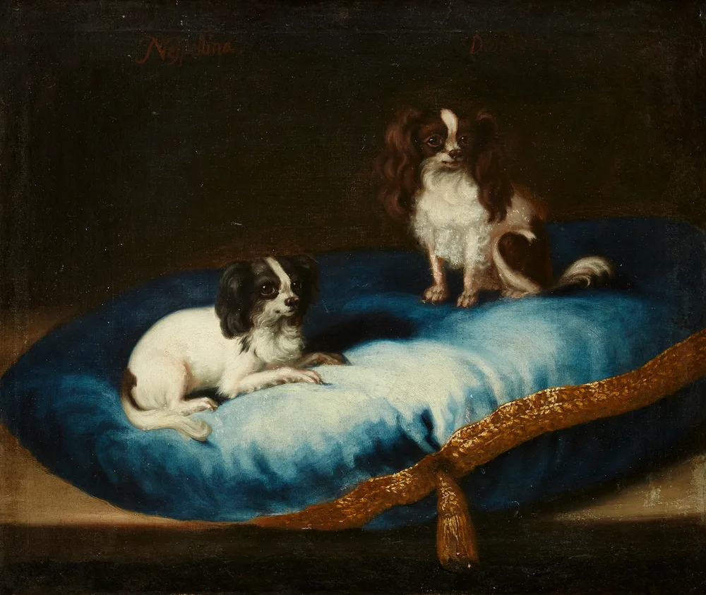 David Klöcker Ehrenstrahl's 1670 painting of two drop-eared toy spaniels, Nespellina and Dondon, on a blue cushion
