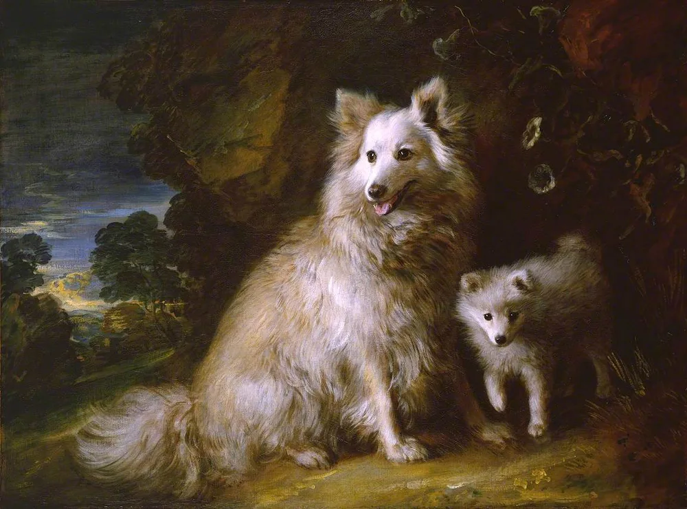 Thomas Gainsborough's painting of a large white spitz, then called a Pomeranian, with her puppy