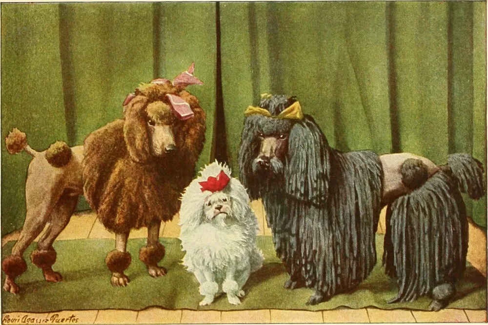 1919 painting of Poodles, including a black Poodle with a corded coat