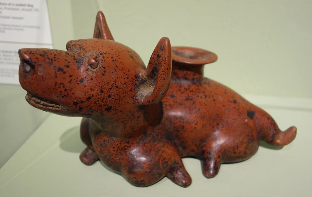 Ancient red ceramic vessel shaped like a plump, hairless-looking dog, from Colima, Mexico