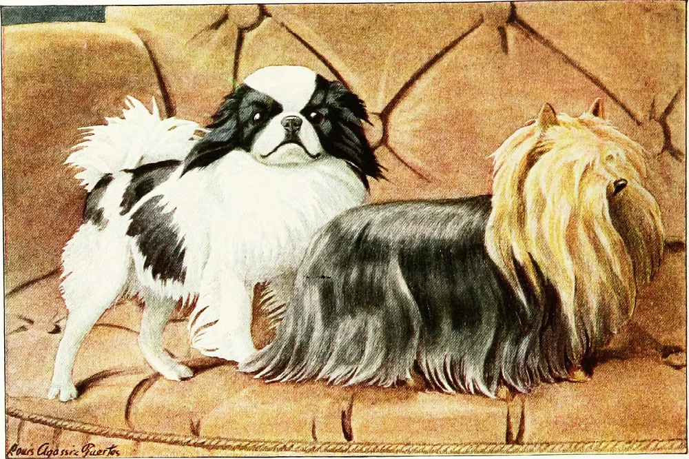1919 painting of a Japanese Chin and a long-coated Yorkshire Terrier